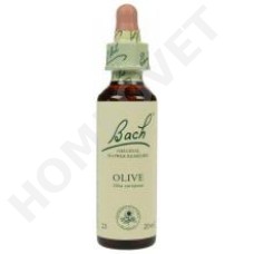 Bach Flower Remedies for Animals - Olive